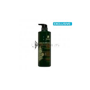 Botanix Cypress Anti Hair Loss Conditioner 800ml