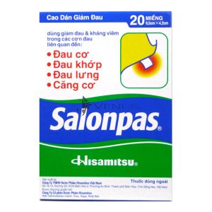 Salonpas Pain Relieving 20 Patches