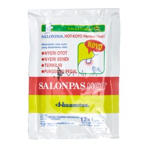Salonpas Plaster Hot 12s