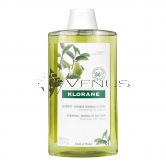 Klorane Shampoo 400ml Purifying For Normal To Oily Hair