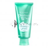 Senka Perfect Whip Beauty Foam 100g Acne Care
