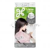 Liese Hair Color Smoky Ash Gray