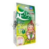 Kinomegumi Foot Detox Patch Rilasciato Wormwood 30s