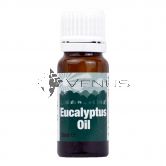 Eucalyptus Oil 10ml