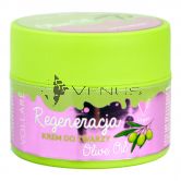 Vollare Face Cream Regenerating 50ml Olive Oil