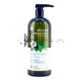 Avalon Organics Shampoo 946ml Scalp Treatment Tea Tree