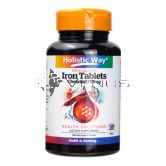 Holistic Way Iron Tablets 15mg Chelated 100s