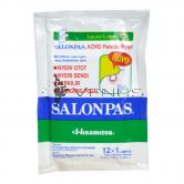 Salonpas Plaster 12s