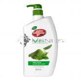 Lifebuoy Bodywash 900ml Matcha