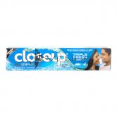 Close Up Gel Toothpaste 160g Icy White