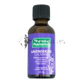 Thursday Plantation Lavender Oil Calming 50ml