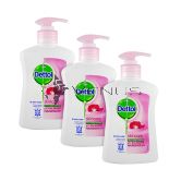 Dettol Skincare Hand Wash 250mlx3