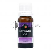 Lavender Oil 10ml