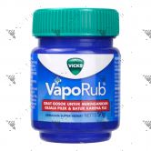 Vicks Vaporub Vaporizing Ointment 50g