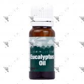 Eucalyptus Oil 10ml