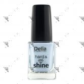 Delia Hard & Shine Nail Enamel 816 11ml