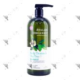 Avalon Organics Shampoo 946ml Scalp Treatment Tea Tree