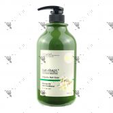 Nat.Chapt. Organic Moringa Oil Conditioner 1000ml