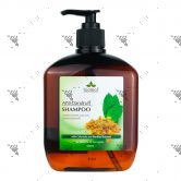 Bioleaf Anti Dandruff Hair Shampoo 520ml Made in Korea