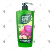 Follow Me Green Tea Shampoo 650ml Anti-Hair Fall